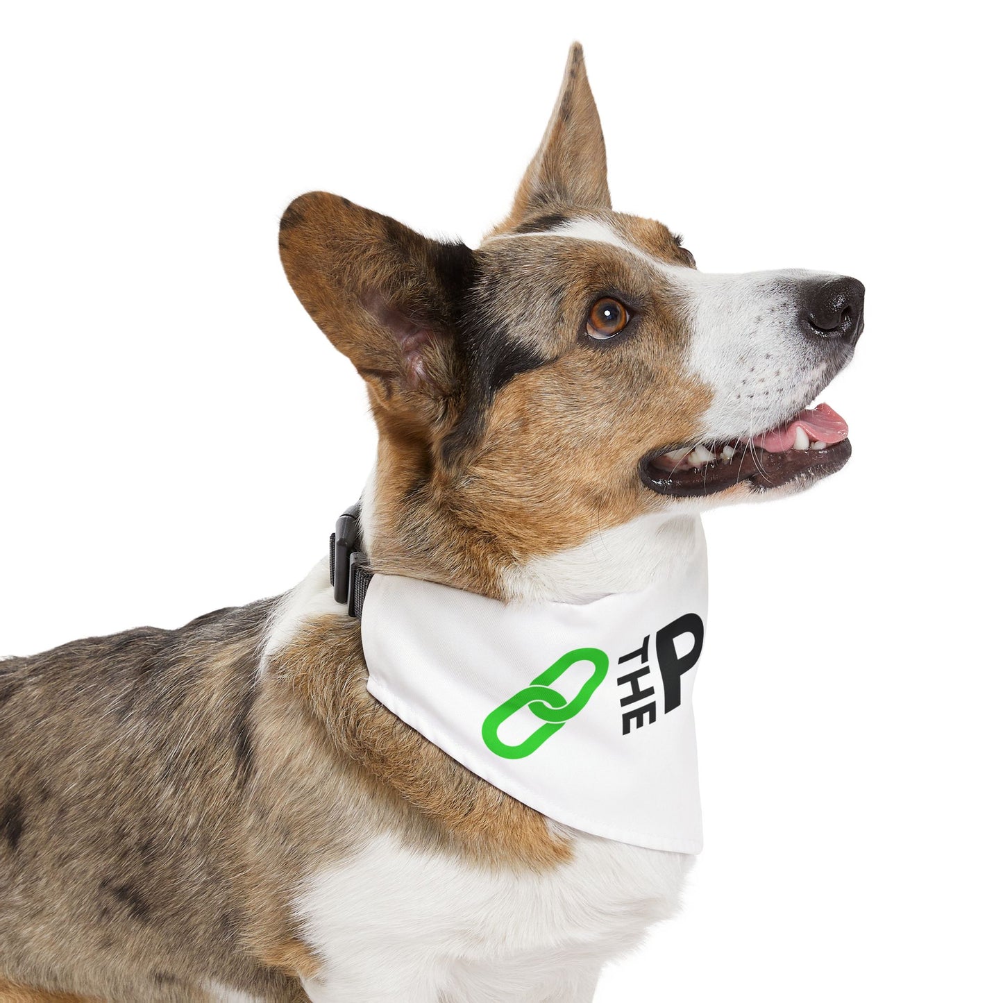 Pet Bandana Collar - The PACT
