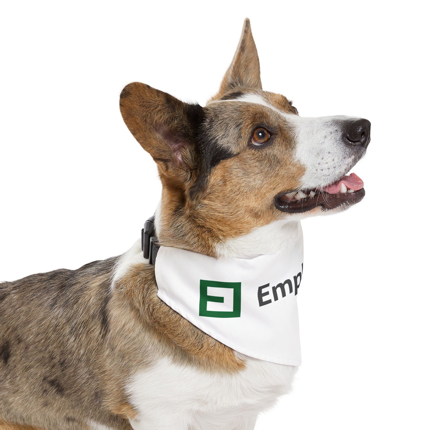 Pet Bandana Collar - EmployInsure