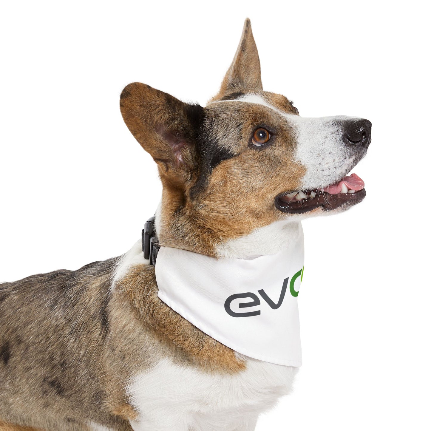 Pet Bandana Collar - Evoove