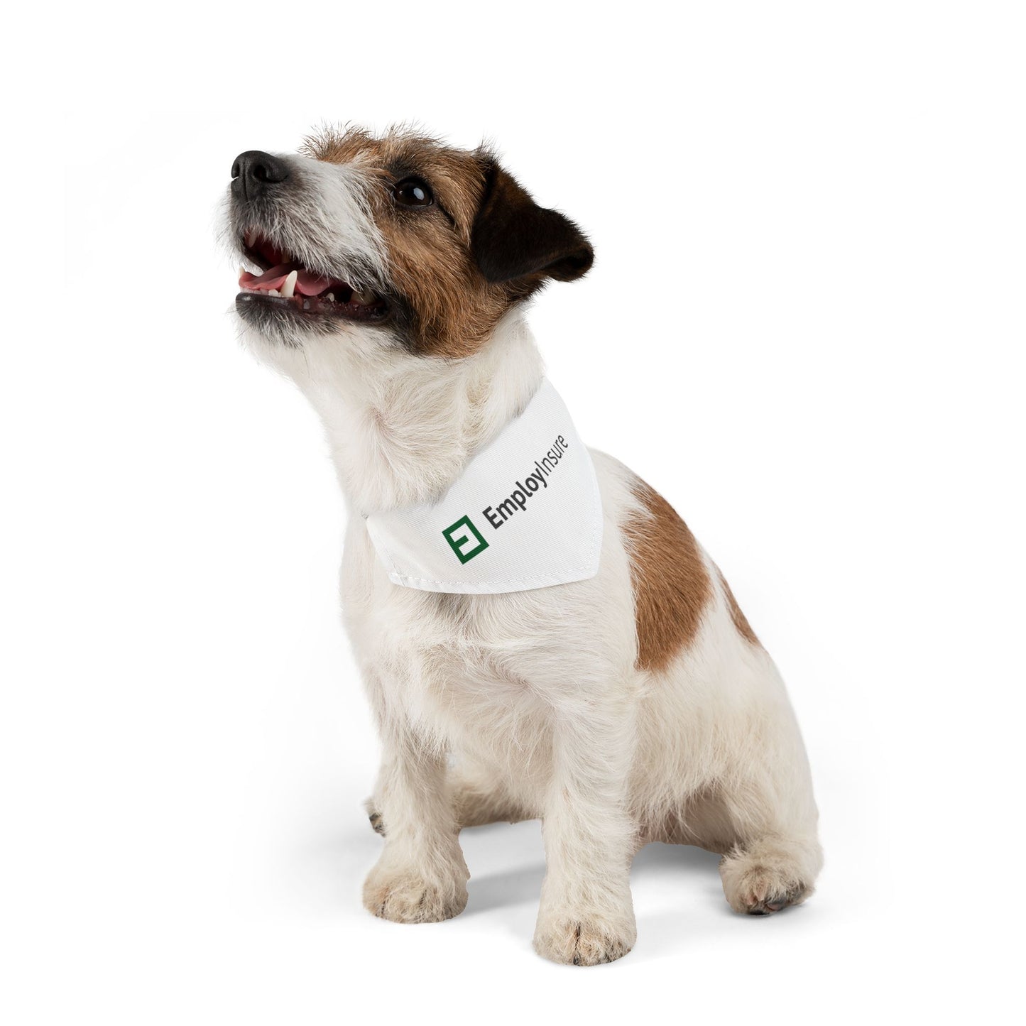 Pet Bandana Collar - EmployInsure