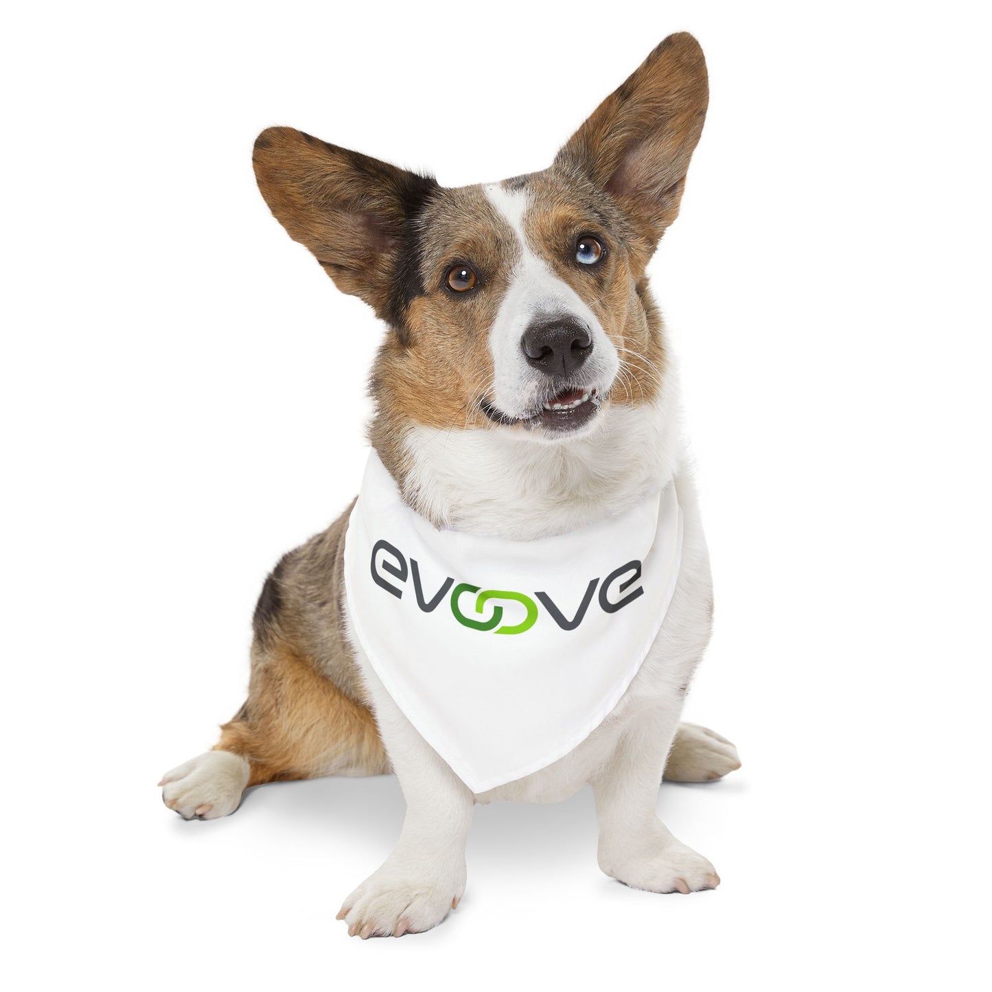 Pet Bandana Collar - Evoove